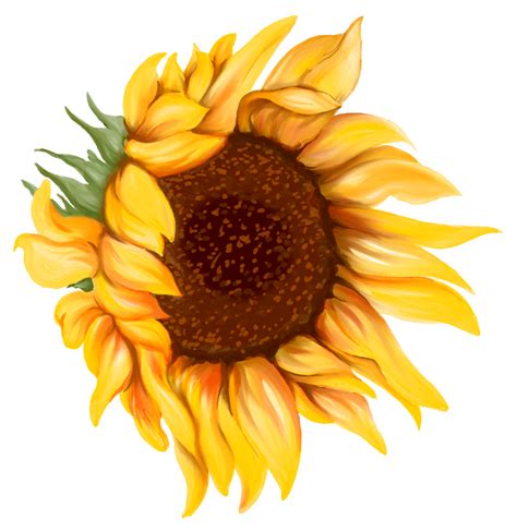 Pintura De Arte De Flor De Girasol 9667943 PNG