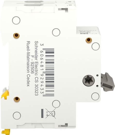 Hoofdschakelaar - 2P - 40A - 6000A - Resi9 - Schneider Electric ...