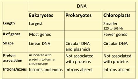 4.1 dna, genes and chromosomes Flashcards | Quizlet