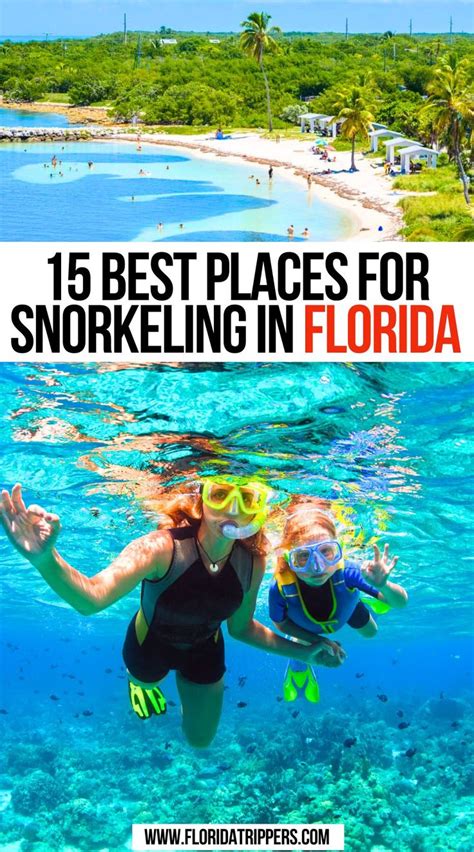 Best Places For Snorkeling In Florida In Snorkeling Florida