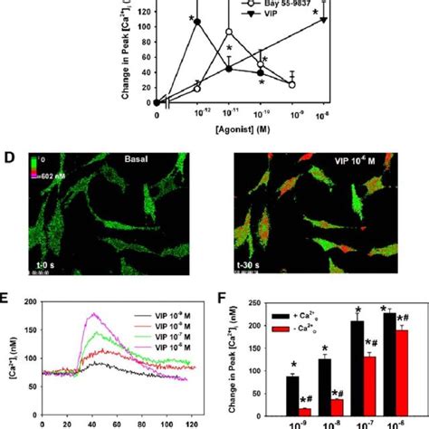 Presence And Localization Of VPAC1 And VPAC2 In Cultured Rat