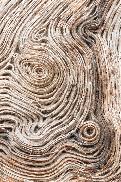 Wood Grain Patterns by Mark Windom