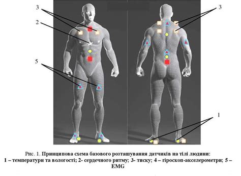 The Scheme Of The Basic Location Of Sensors On The Human Body 1