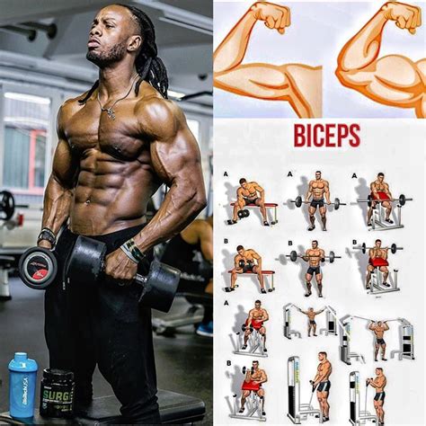 Exercises To Build Biceps