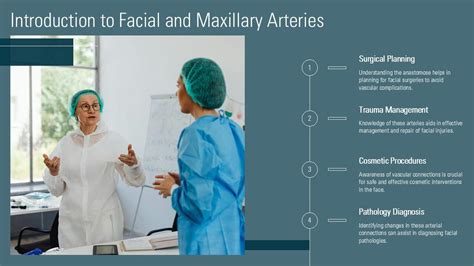 Anastamose Facial Artery And Maxillary Artery PPT Structure ACP PPT Slide