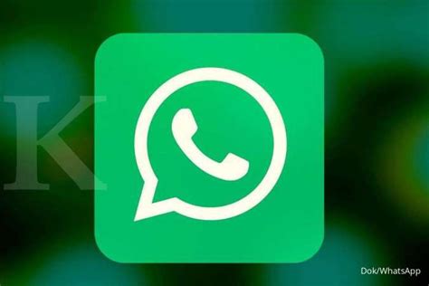 Meta AI Tidak Muncul Di WhatsApp Simak Penjelasan Fitur Yang Harus