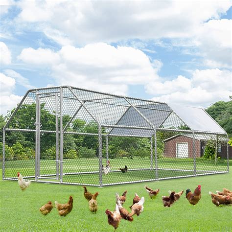 What Size Chicken Run For 20 Chickens at Robert Scalia blog