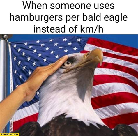 Usa Eagle When Someone Uses Hamburgers Per Bald Eagle Instead Of