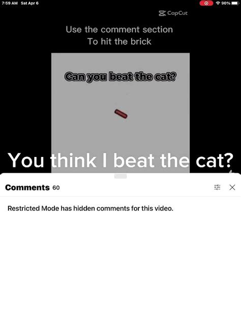 Cats Youtube