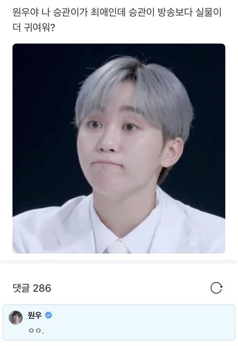 잡담 세븐틴 승관 실물 본 사람‼️ 부승관 실물 본 사람‼️ 인스티즈instiz 연예 카테고리