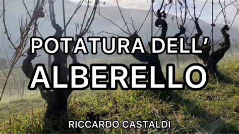 Vite La Potatura Dellalberello Youtube