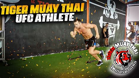 Petr Yan Training Session At Tiger Muay Thai Fitness Street Se E