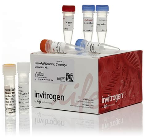 Invitrogen™ GeneArt™ Genomic Cleavage Detection Kit | Fisher Scientific