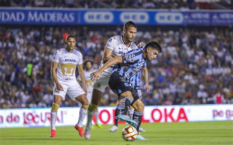 Los mejores momios del Pumas vs Querétaro de la Leagues Cup Mediotiempo