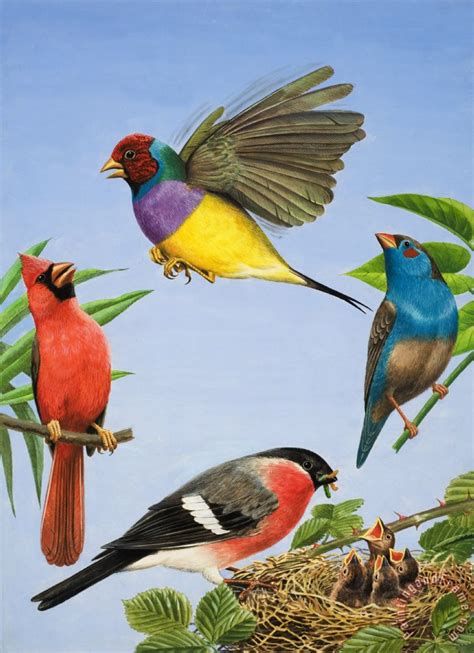 RB Davis Tropical Birds painting - Tropical Birds print for sale