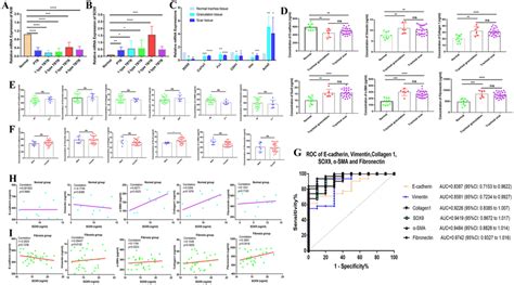 SOX9 is upregulated in the process of injury and repair of the trachea ... 