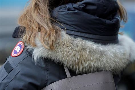 Popular parkas like Canada Goose sparking high demand for coyote fur: experts - National ...