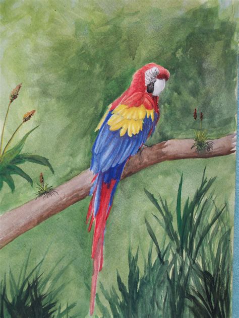 Jungle and Rainforest Art of Costa Rica: Wildlife Paintings and Photographs