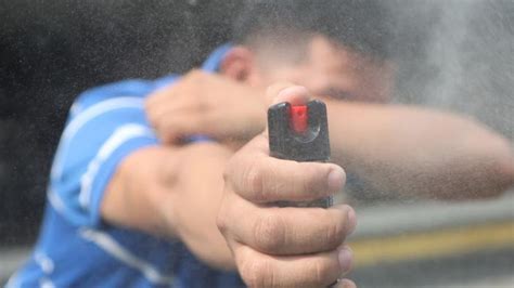 Pelea y gas pimienta a bordo de un tren San Martín