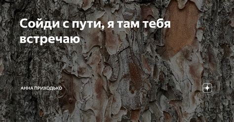 Сойди с пути, я там тебя встречаю | Анна Приходько | Дзен