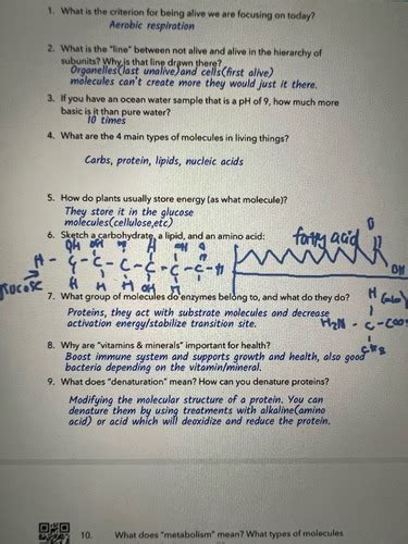 Micro Lecture Exam Review Flashcards Quizlet