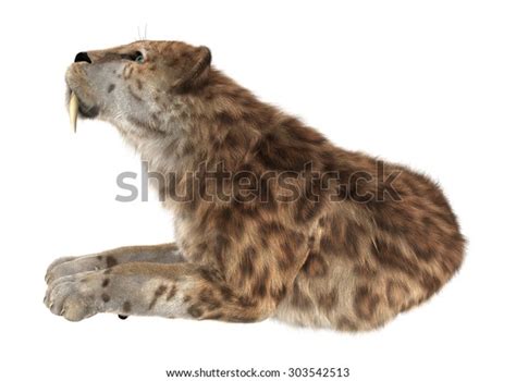 3d Digital Render Smilodon Saber Toothed Stock Illustration 303542513