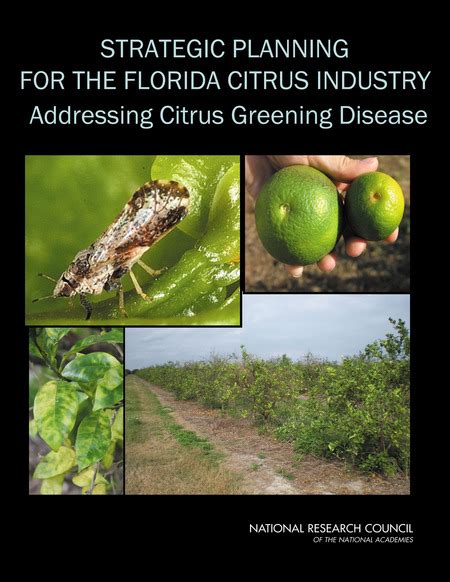 Appendixes Strategic Planning For The Florida Citrus Industry Addressing Citrus Greening