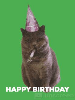 Happy Birthday Cat GIF by Unscreen - Find & Share on GIPHY