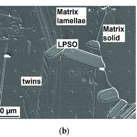 SEM Micrographs Of Mg Dy Nd Zn Zr Alloy After Heat Treatment At 500 C