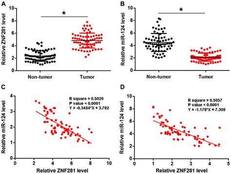 Long Noncoding RNAZNF281 Promotes Cancer Cell Migration And Invasion