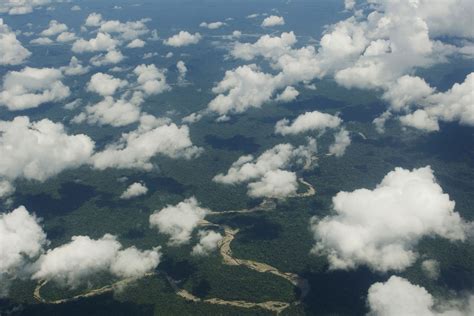 Parque Nacional Del Manu Medio Siglo Cuidando Una Biodiversidad Sin