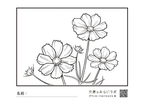 コスモスの塗り絵｜明日の介護をもっと楽しく 介護のみらいラボ（公式）