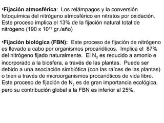 Fijacion Del Nitrogeno Ppt PPT