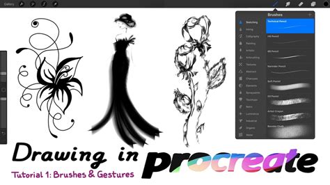 Procreate Drawing Ideas For Beginners Erlegacy