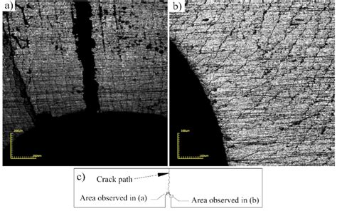 Microcracks In The Region Around The Notch Tip Of The Specimen With The