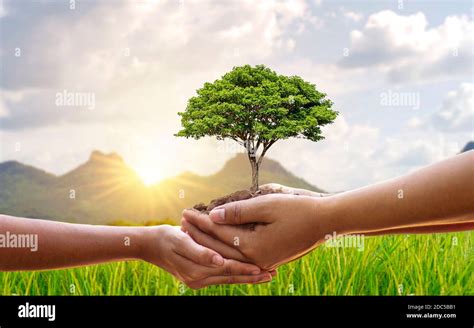 Ayudar A Cuidar El Medio Ambiente Fotografías E Imágenes De Alta