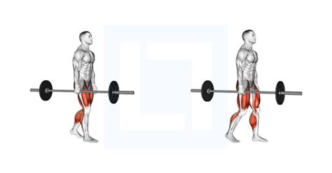 Barbell Suitcase Carry Guide Benefits And Form