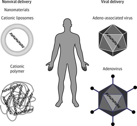 Genome Editing Of Monogenic Neuromuscular Diseases A Systematic Review Abstract Europe Pmc