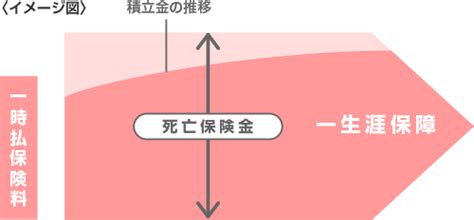 一時払終身保険 三菱ufj銀行