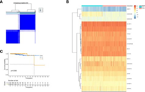 Frontiers Identification Of Novel Pyroptosis Related Gene Signatures