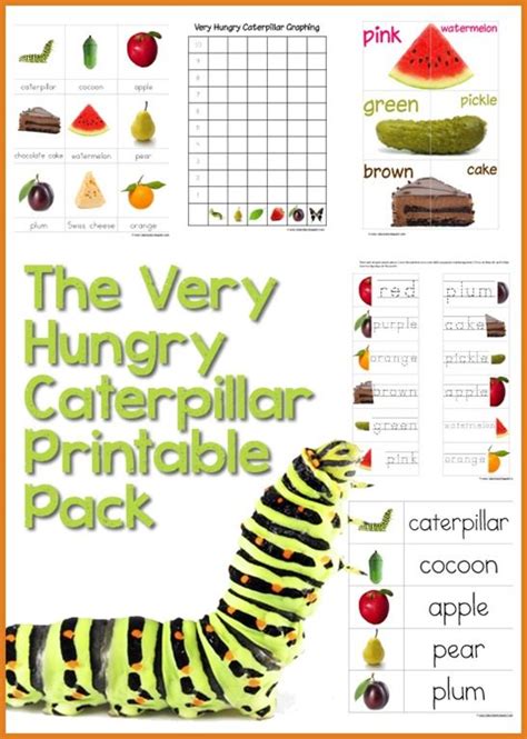 Glossary How Hungry Is The Caterpillar Worksheets Star Worksheets