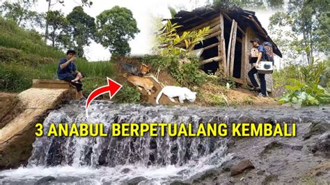 SOLO CAMPING DI PONDOK PINGGIR SUNGAI Trio Anabul Berpetualang Kembali