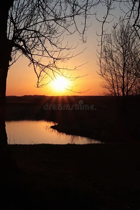 Early Spring Sunset With Silhouettes Of Naked Broadleaf Trees Above Calm Water Of Fishpond Stock