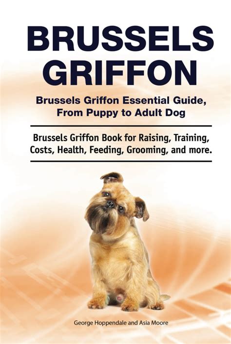 Brussels Griffon Brussels Griffon Essential Guide From Puppy To Adult