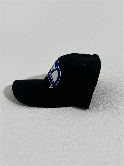 Vintage Seattle Seahawks Black Snapback Hat – Throwbacksnw.com