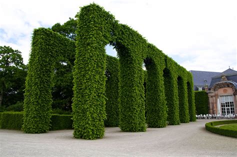 Schwetzingen Castle Gardens Roaming Together So Much World So