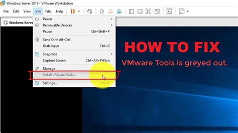 Vmware Workstation Player Install Windows 11