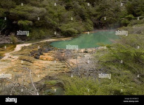 The Mount Tarawera eruption in June 1886 creates the volcanism that ...