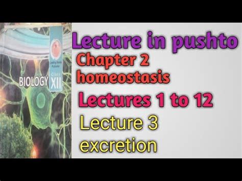 Class Th Biology Chapter Homeostasis Lecture Lectures To