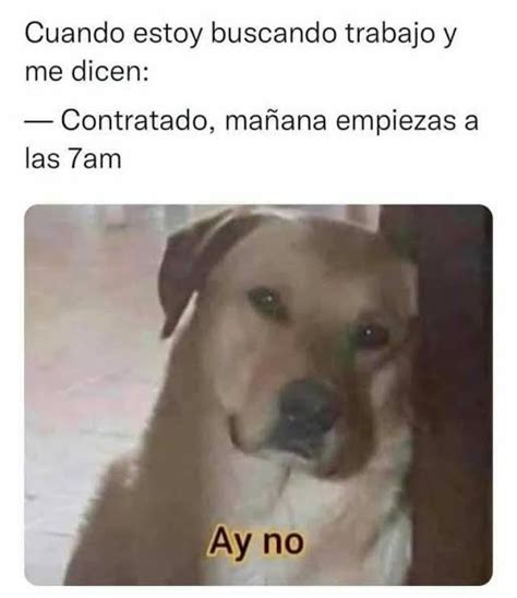 Memes De Buscar Trabajo Seguramente Te Ha Pasado